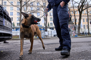 Επίθεση σε τράπεζα στην Γερμανία – Αναφορές για ομήρους