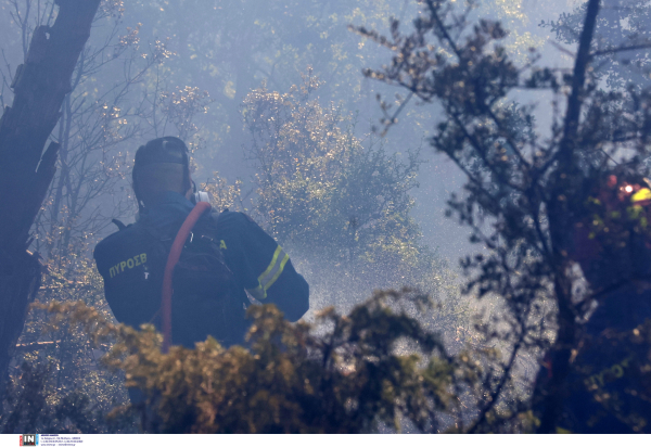 Πρέβεζα: Εμπρησμό πίσω από τη φωτιά στη γέφυρα Καλογήρου ερευνούν οι αρχές