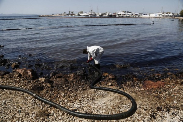 Οι επιπτώσεις της ρύπανσης επεκτείνονται στην ορνιθοπανίδα