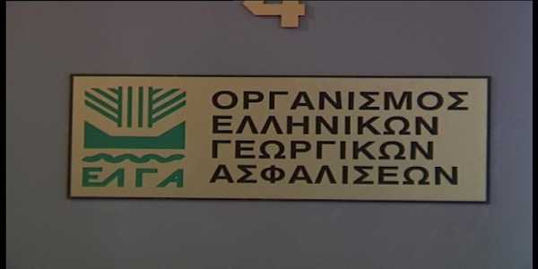 ΕΛΓΑ 60000 οι αιτήσεις για εκτιμήσεις ζημιών