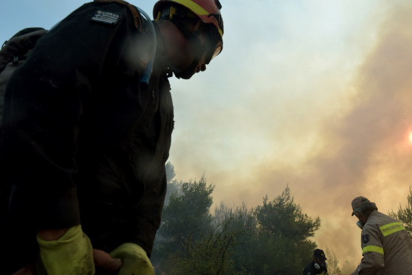 Υπό μερικό έλεγχο η φωτιά στην Κεφαλονιά