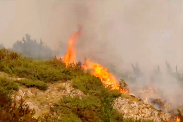 Τρία πύρινα μέτωπα σε Κοζάνη και Γρεβενά, υπό πλήρη έλεγχο η φωτιά στη Σάμο (βίντεο)