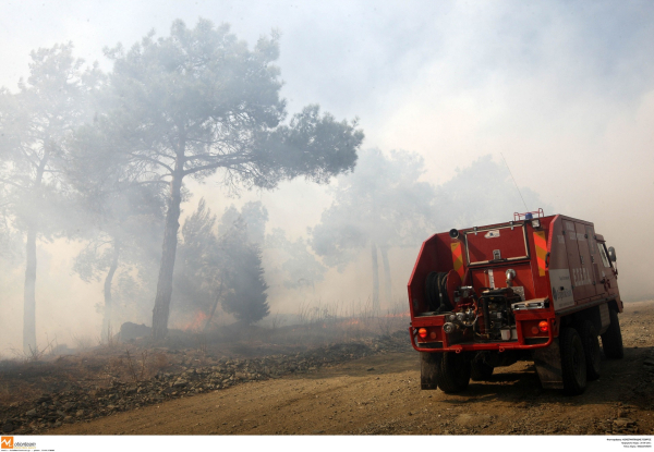 Θεσσαλονίκη: Συναγερμός με φωτιά που ξέσπασε στο Σέιχ Σου