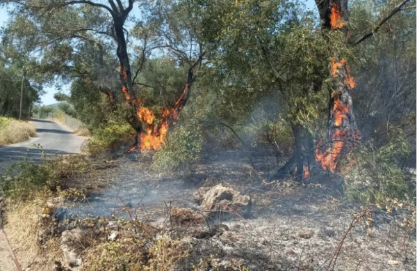 Κέρκυρα: Φωτιά στο Τεμπλόνι