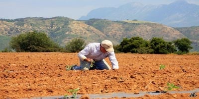 Χωρίς παρακράτηση η επιστροφή ΦΠΑ στους αγρότες