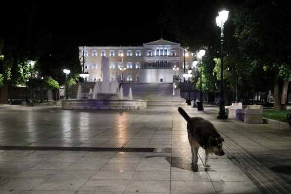 Βουλή: Τροπολογία για αυστηρότερες ποινές για την κακομεταχείριση των ζώων