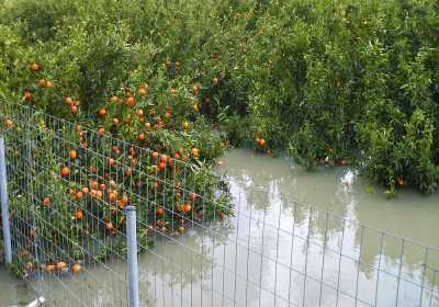 Πλημμύρες στον κάμπο της Άρτας απο τις ισχυρές βροχοπτώσεις