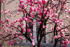Η πρώτη εκτίμηση για τον καιρό του Πάσχα 2026