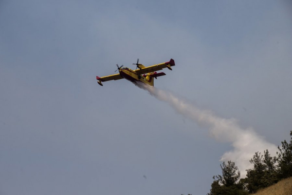 Πενήντα τρεις δασικές πυρκαγιές μέσα σε μία ημέρα στην Ελλάδα