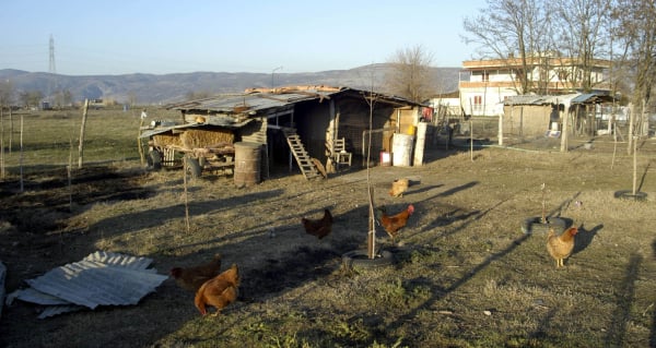 Οικογενειακές ιστορίες στο Βόλο: Συνταξιούχος ζει σε κοτέτσι για να μην έχει επαφή με σύζυγο και κόρη