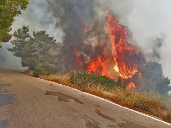 Photo: αρχείο dikaiologitika News