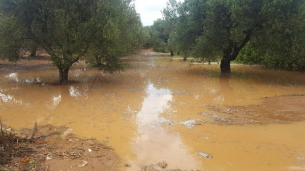 Ρύθμιση οφειλών για επιχειρήσεις σε Ρέθυμνο και Χανιά που επλήγησαν από έντονα καιρικά φαινόμενα