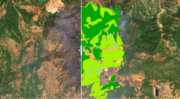 Τι κάηκε στην Εύβοια - Δείτε τον χάρτη από την υπηρεσία Copernicus - Πώς χρησιμοποιούνταν οι εκτάσεις που έγιναν αποκαΐδια