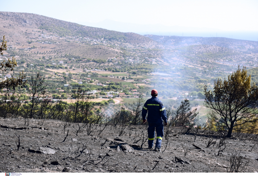 Φωτιά Κερατέα: Έκανε λόγο για εμπρησμό ο Δήμαρχος Λαυρεωτικής, «πέταξαν φωτοβολίδες» (βίντεο)