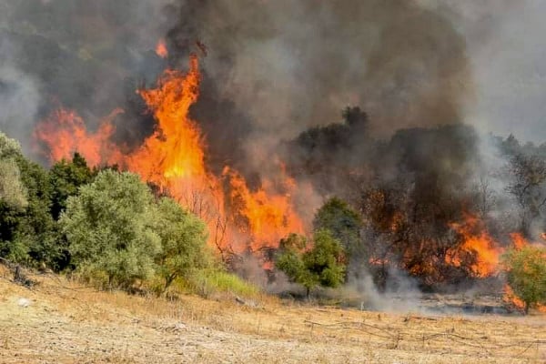 φωτογραφία αρχείου