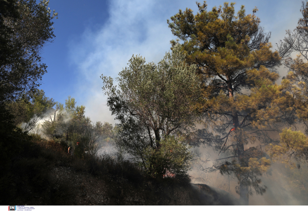 Λήξη συναγερμού για τη φωτιά στη Ραφήνα