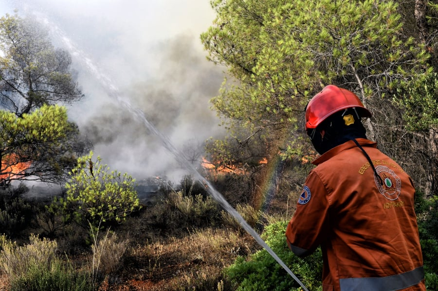 Φωτιά τώρα στην Μαγνησία, επιχειρούν και 6 εναέρια μέσα