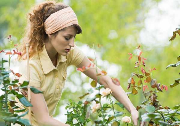 Ενιαία δήλωση εκμετάλλευσης μέχρι 5/10 από τους υποψήφιους για ένταξη στο πρόγραμμα νέων γεωργών