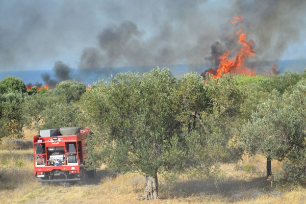 Πολύ υψηλός κίνδυνος πυρκαγιάς και σήμερα Πέμπτη