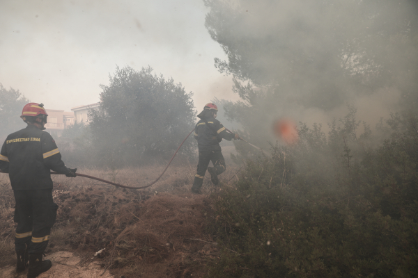 Συναγερμός στον Έβρο: Η φωτιά βρίσκεται στις παρυφές του δάσους Δαδιάς και κατευθύνεται προς Λευκίμμη