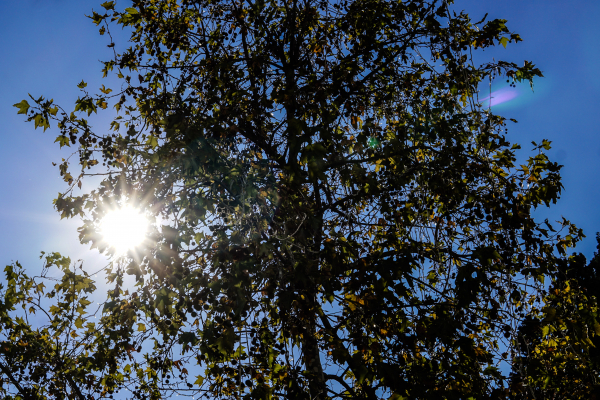 Καιρός-Meteo: Επιστροφή στις λιακάδες την Παρασκευή, που θα ρίξει βροχές