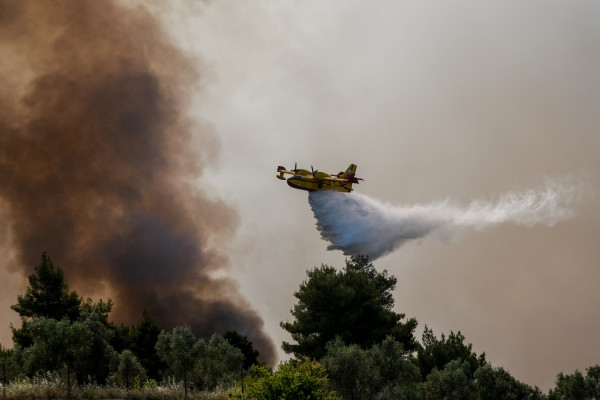 Πυροσβεστική: Αυτές είναι οι «κόκκινες περιοχές» που προκαλούν ανησυχία (βίντεο)