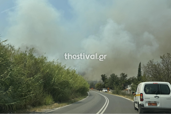 Φωτιά τώρα στη Θεσσαλονίκη - Καίγονται σπίτια στον Τρίλοφο