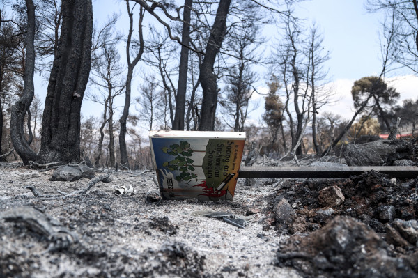 Εύβοια: Δεν απειλεί με την ίδια ένταση η φωτιά - Επί ποδός για 4η ημέρα όλες οι δυνάμεις - Θα χρειαστούν μέρες για να σβήσει εντελώς