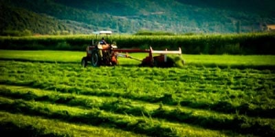 Εταιρεία για την προώθηση των αγροτικών προϊόντων της Πελοποννήσου