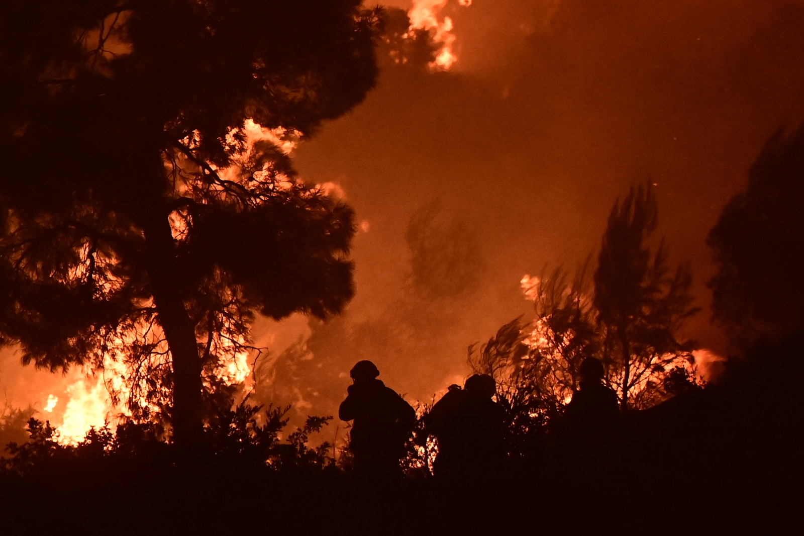 Η Βοιωτία φλέγεται: Έφτασε στα πρώτα σπίτια στο Πόρτο Γερμενό η φωτιά
