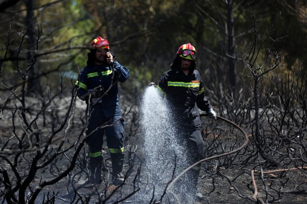 Σε ύφεση τα πύρινα μέτωπα σε Ανάβυσσο και Σπέτσες