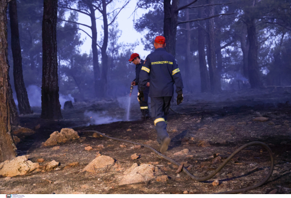 Αποκάλυψη Κικίλια: Εμπρηστής πιάστηκε επ&#039; αυτοφόρω με μπιτόνια βενζίνης στον Άγιο Στέφανο