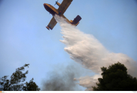 Φωτιά στη Χαλκιδική, καίει δασική έκταση, επιχειρούν και πυροσβεστικά αεροσκάφη