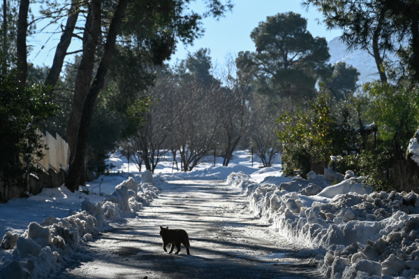 «Πάρτι» στο Twitter με το όνομα της κακοκαιρίας, «Αντί για τα Μάρμαρα μας έφεραν την Μπάρμπαρα»