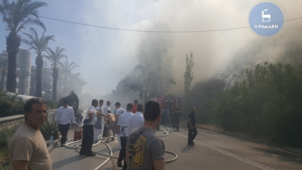 Φωτιά στο Φαληράκι - Συναγερμός στη Ρόδο (vid)