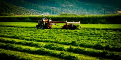 Παράταση για τις αιτήσεις πληρωμής του Μέτρου 132