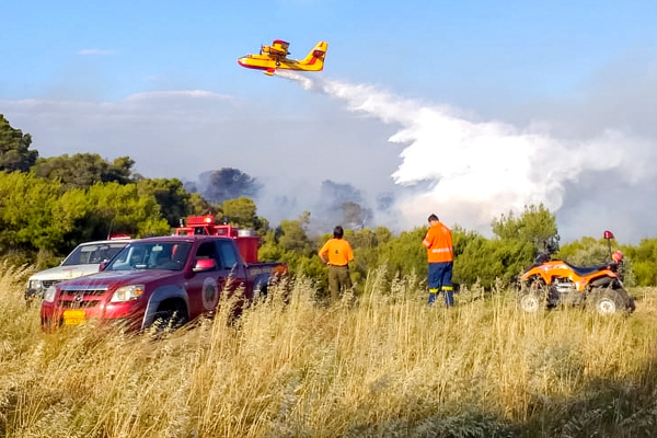 Υπό μερικό έλεγχο η φωτιά στην Ηλεία: Καίει σε δασική έκταση κοντά στην Κυανή Ακτή