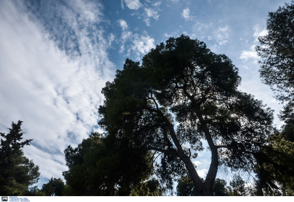 Ανοιξιάτικος ο καιρός, σε ποιες περιοχές το θερμόμετρο θα δείξει 20 βαθμούς κελσίου