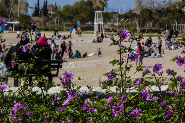 Εξαδάκτυλος: Να μην υπάρξει καμία χαλάρωση στα μέτρα μέχρι 12 Απριλίου