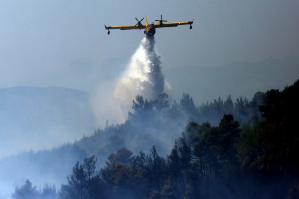 Μάχη με τις φλόγες σε δυο μέτωπα στο Καπανδρίτι - Στο Πολυδένδρι η φωτιά