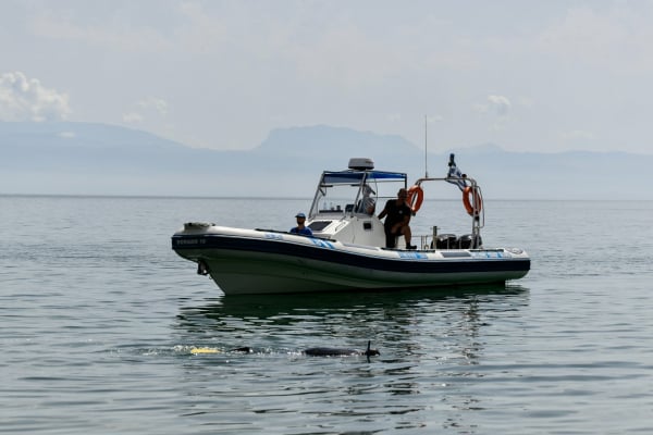 Θεσσαλονίκη: Επεισοδιακή σύλληψη άνδρα, αστυνομικοί βούτηξαν στον Θερμαϊκό για να τον συλλάβουν