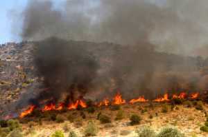 Σε ύφεση η φωτιά στην περιοχή Κύργια στο Δοξάτο Δράμας