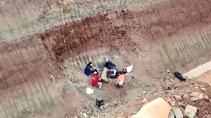 Βραζιλία: Απολιθώματα έφεραν στο φως νέο είδος δεινοσαύρου (Βίντεο)