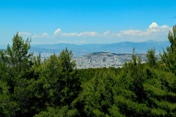 Δασικοί Χάρτες: Νέα παράταση μέχρι τις 31 Μαΐου 2022 για την υποβολή αντιρρήσεων