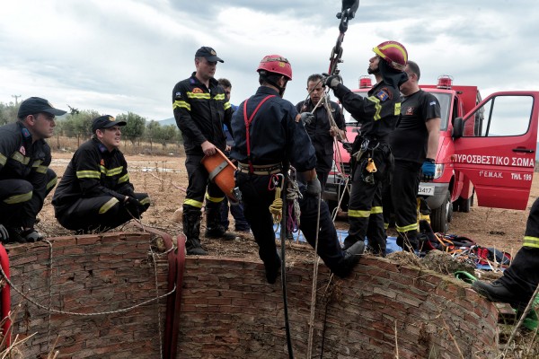 Πυροσβέστες απεγκλώβισαν ταύρο από χαράδρα