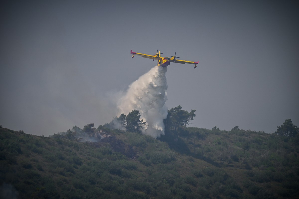 Φωτιά στον Αυλώνα Αττικής, μεγάλη κινητοποίηση της Πυροσβεστικής