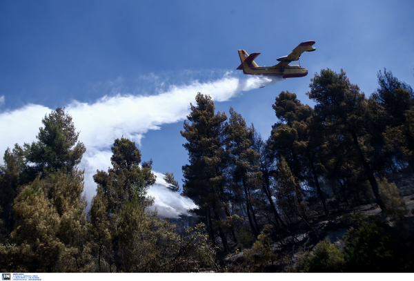 Και η τεχνητή νοημοσύνη στη μάχη απέναντι στις φωτιές -Τι είναι το «Deep Cube» και το «SeasFire»