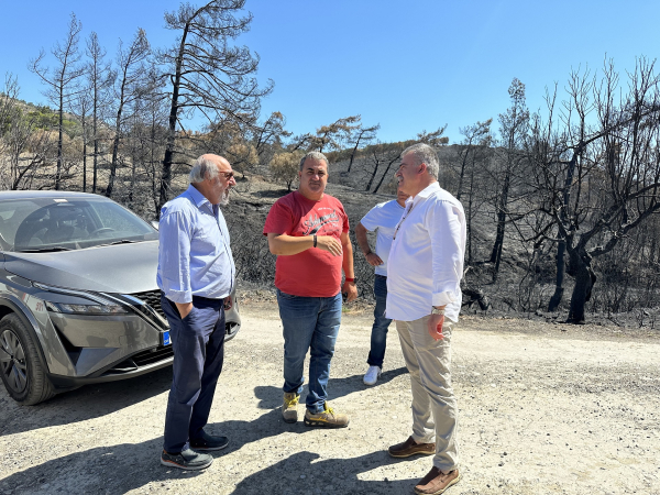 Φωτιά στη Ρόδο: Κλιμάκιο του ΠΑΣΟΚ στις πληγείσες περιοχές