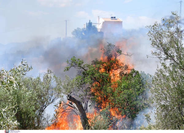 Φωτιά τώρα στην Αργολίδα, καίει αγροτοδασική έκταση