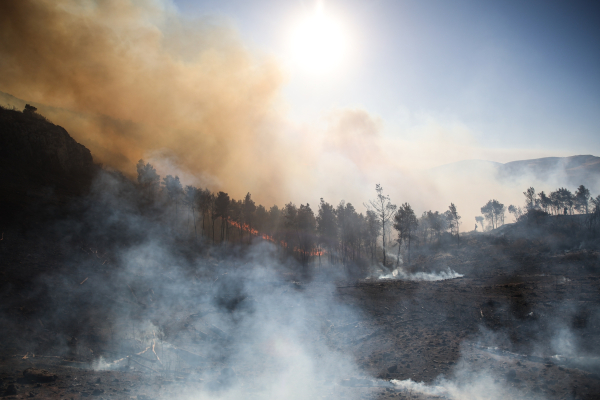 Πυροσβεστική: 34 αγροτοδασικές φωτιές εκδηλώθηκαν το τελευταίο 24ωρο